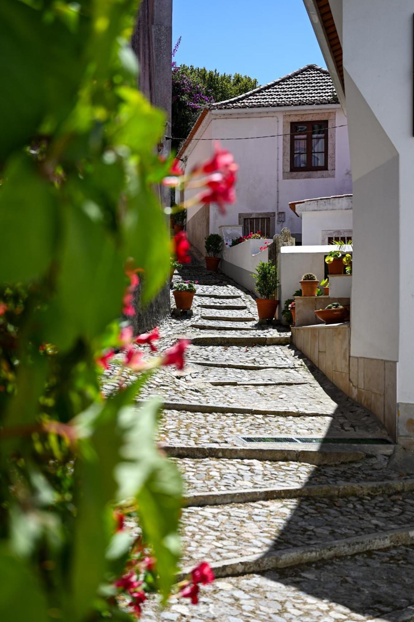 Casa Do Briamante 9 Apartment Sintra Ngoại thất bức ảnh